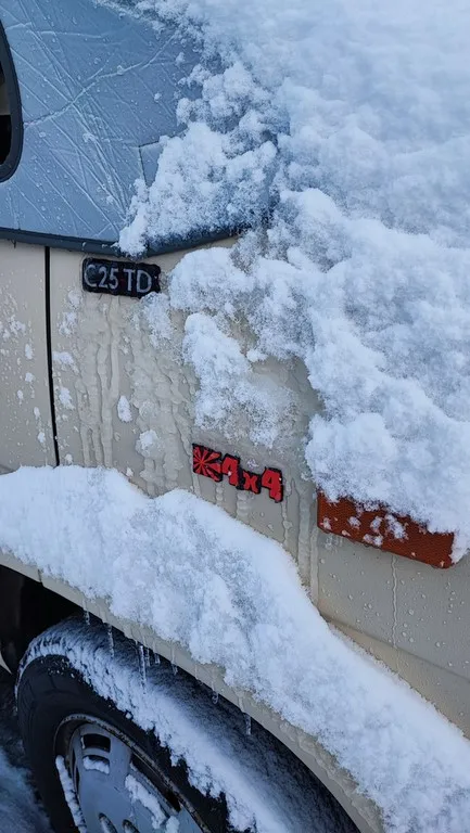 dangel 4x4 stiker logo